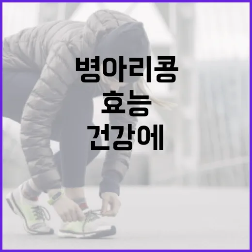 병아리콩의 효능과 건강에 미치는 이점 알아보기 - 요약