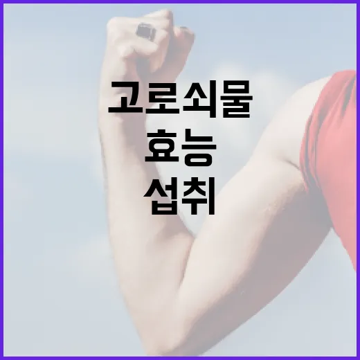 고로쇠물의 효능과 건강하게 섭취하는 방법 - 요약