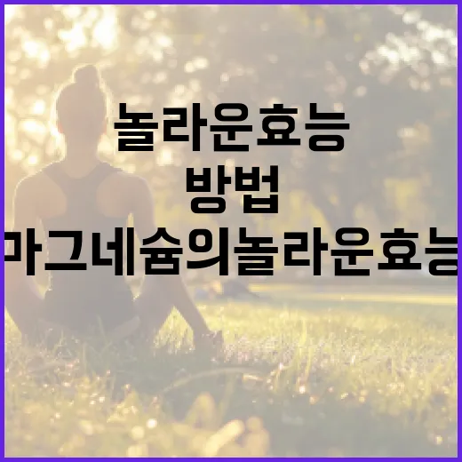마그네슘의 놀라운 효능을 이해하고 활용하는 방법 - 요약