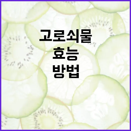 고로쇠물의 건강 효능을 극대화하는 방법 - 요약