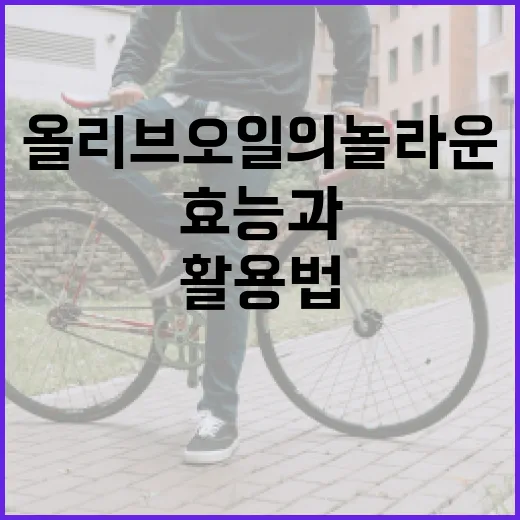 올리브오일의 놀라운 효능과 활용법 - 요약