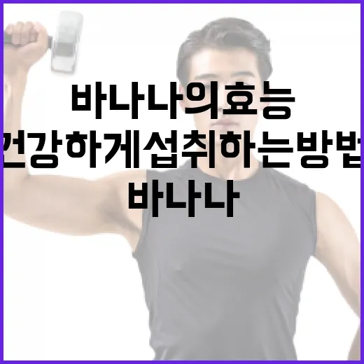 바나나의 효능과 건강하게 섭취하는 방법 - 요약
