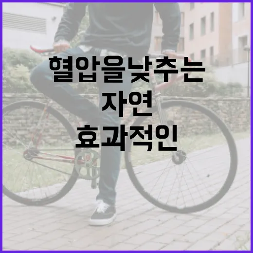 혈압을 낮추는 방법: 자연스럽고 효과적인 접근 - 요약