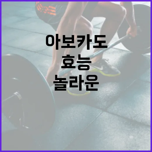 아보카도의 놀라운 효능을 최대한 활용하는 방법 - 요약