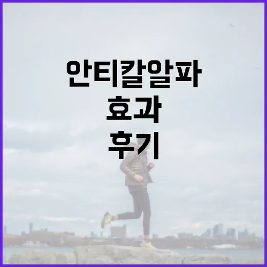 안티칼알파 사용 후기를 통해 알아보는 효과와 사용법 - 요약