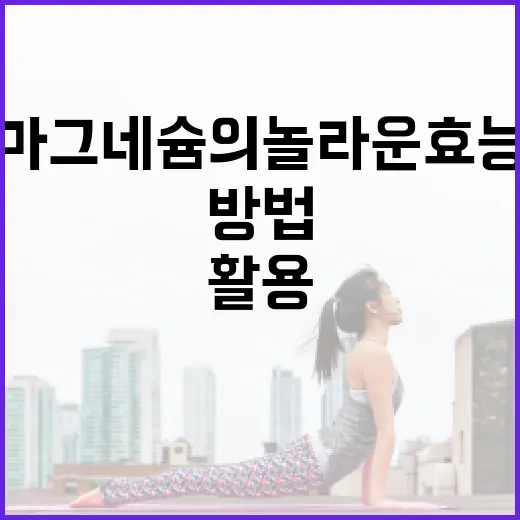 마그네슘의 놀라운 효능을 최대한 활용하는 방법 - 요약