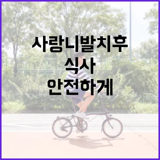 사랑니 발치 후 안전하게 식사하는 방법 - 요약