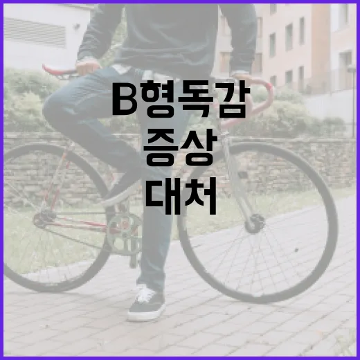 B형 독감 증상을 인식하고 대처하는 방법 - 요약