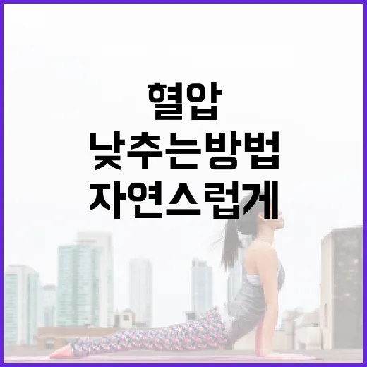 자연스럽게 혈압을 낮추는 방법 - 요약