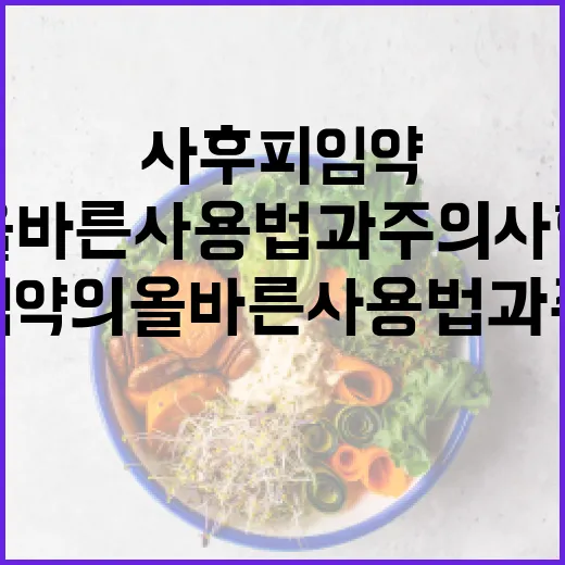 사후피임약의 올바른 사용법과 주의사항 - 요약