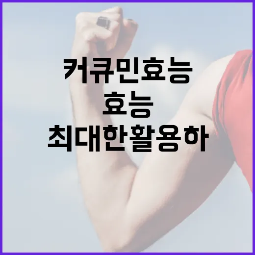 커큐민 효능을 최대한 활용하는 방법 - 요약