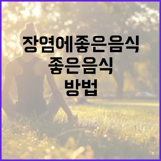 장염에 좋은 음식을 선택하는 방법 - 요약
