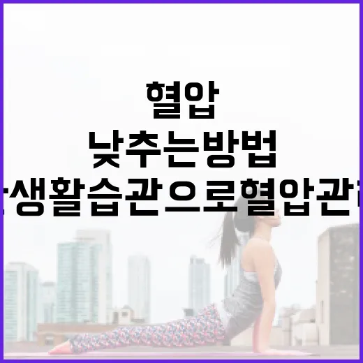 혈압을 낮추는 방법: 건강한 생활 습관으로 혈압 관리하기 - 요약