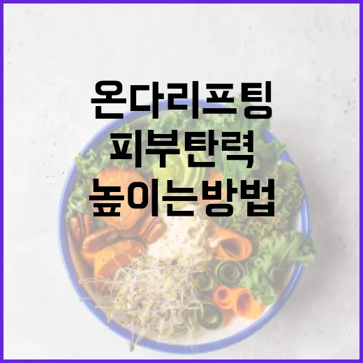 온다리프팅으로 피부 탄력을 높이는 방법 - 요약