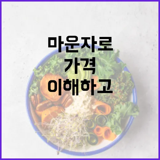 마운자로 가격을 이해하고 적절히 선택하는 방법 - 요약