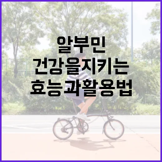 알부민의 효능과 활용법: 건강을 지키는 방법 - 요약
