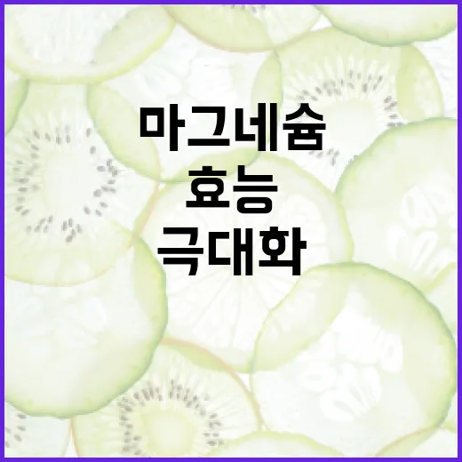 마그네슘의 효능을 극대화하는 방법 - 요약