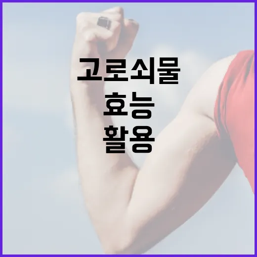고로쇠물의 효능을 최대한 활용하는 방법 - 요약