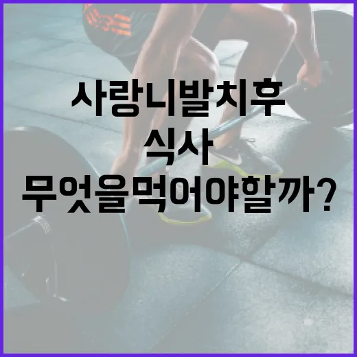 사랑니 발치 후 무엇을 먹어야 할까? 안전한 식사 가이드 - 요약