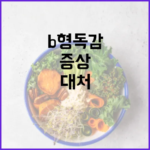 B형 독감 증상을 이해하고 대처하는 방법 - 요약