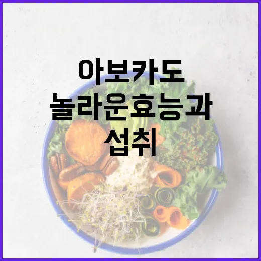아보카도의 놀라운 효능과 건강하게 섭취하는 방법 - 요약