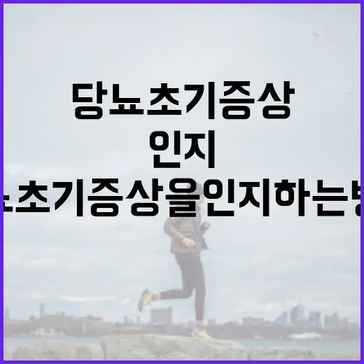 당뇨 초기증상을 인지하는 방법 - 요약