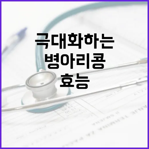 병아리콩 효능을 극대화하는 방법 - 요약