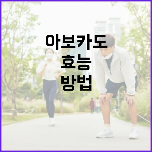 아보카도의 효능을 최대한 활용하는 방법 - 요약