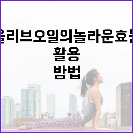올리브오일의 놀라운 효능을 최대한 활용하는 방법 - 요약
