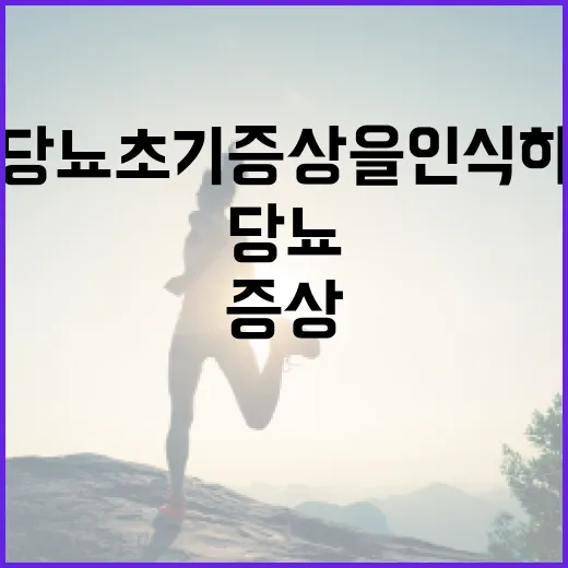 당뇨 초기증상을 인식하는 방법 - 요약