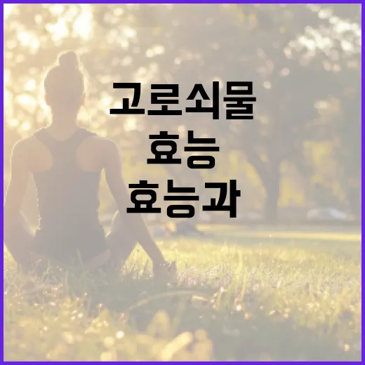 고로쇠물의 효능과 활용 방법 - 요약