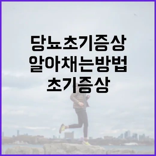 당뇨 초기증상을 알아채는 방법 - 요약