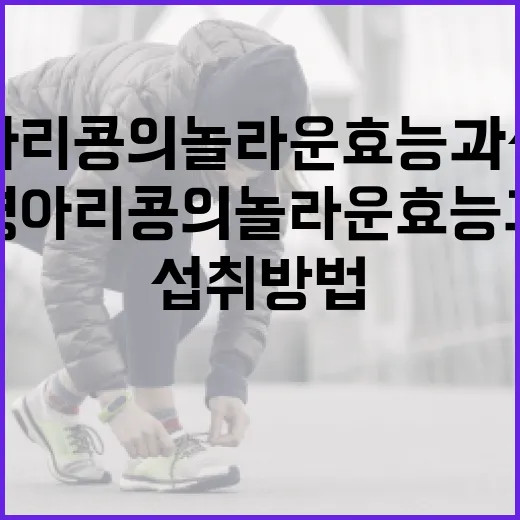 병아리콩의 놀라운 효능과 섭취 방법 - 요약