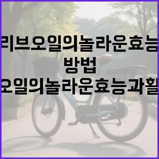 올리브오일의 놀라운 효능과 활용 방법 - 요약