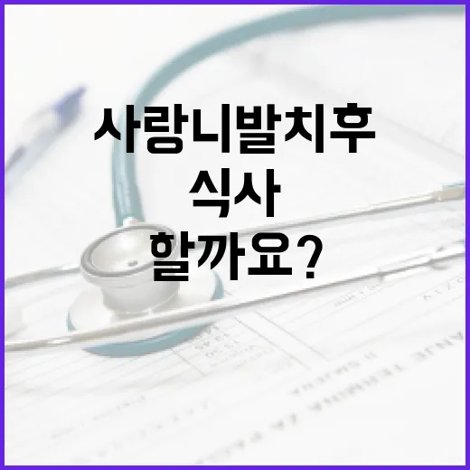 사랑니 발치 후 어떻게 식사해야 할까요? - 요약