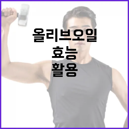 올리브오일의 효능을 최대한 활용하는 방법 - 요약