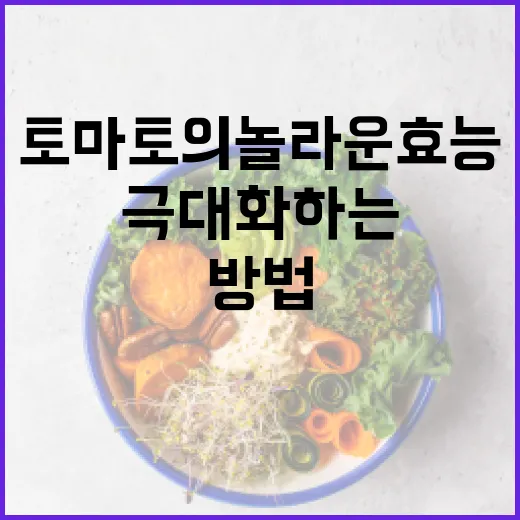 토마토의 놀라운 효능을 극대화하는 방법 - 요약