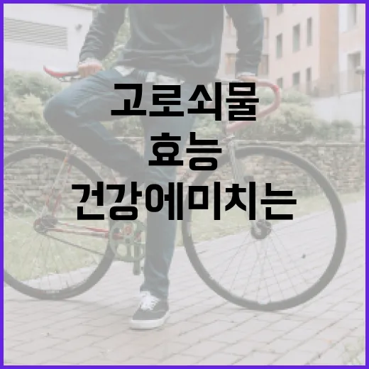 고로쇠물의 효능과 건강에 미치는 긍정적인 영향 - 요약