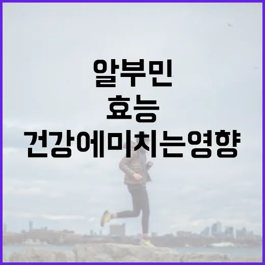 알부민의 효능과 건강에 미치는 영향 알아보기 - 요약