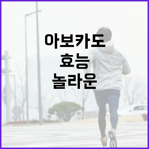 아보카도의 놀라운 효능을 최대한 활용하는 방법 - 요약