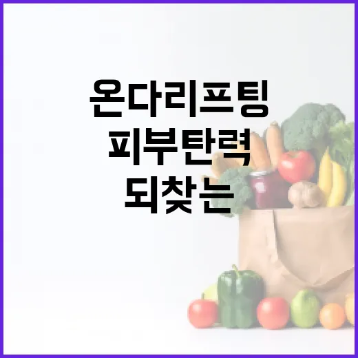 온다리프팅으로 피부 탄력을 되찾는 방법 - 요약