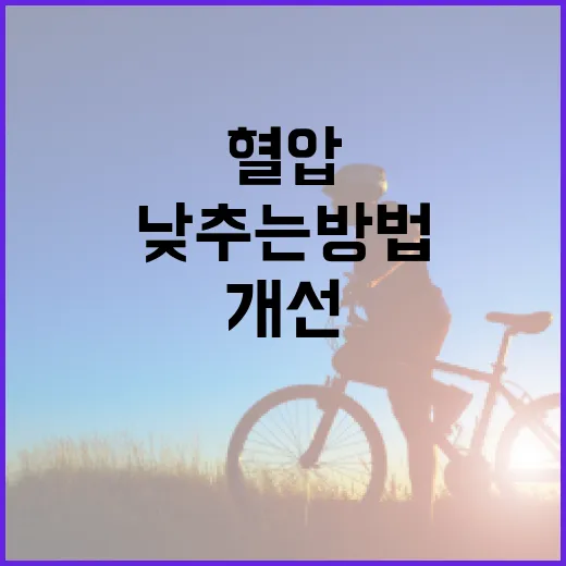 혈압을 낮추는 방법: 자연스럽게 건강을 개선하기 - 요약