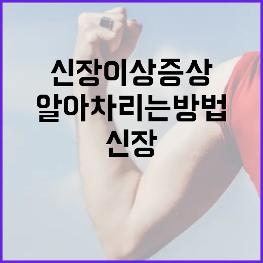 신장 이상 증상을 알아차리는 방법 - 요약