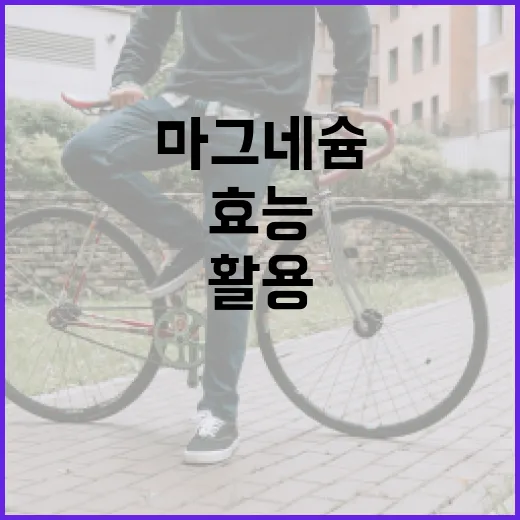 마그네슘 효능을 최대한 활용하는 방법 - 요약
