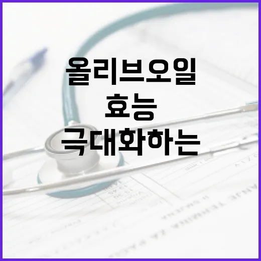 올리브오일의 건강 효능을 극대화하는 방법 - 요약