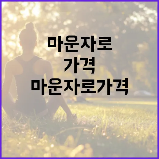마운자로 가격을 이해하고 적절히 구매하는 방법 - 요약