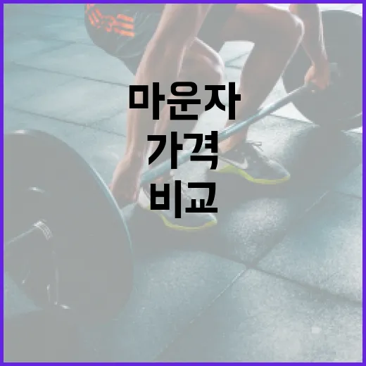 마운자를 구매하려면 이렇게: 가격 비교와 선택 가이드 - 요약