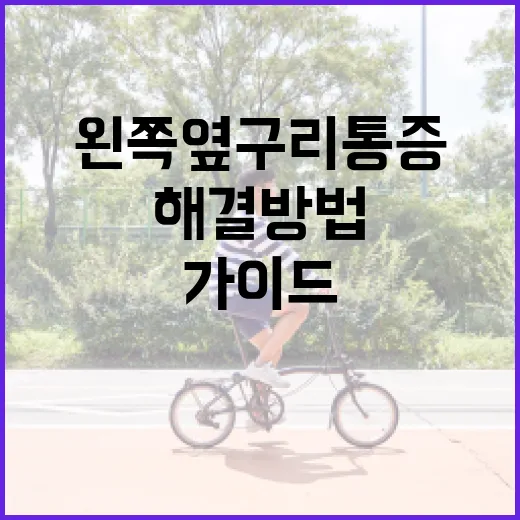 왼쪽 옆구리 통증 해결 방법: 통증 완화를 위한 전문가 가이드 - 요약