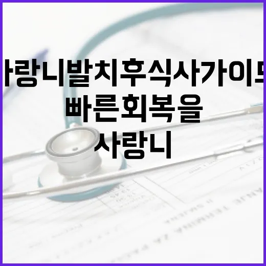 사랑니 발치 후 식사 가이드: 빠른 회복을 위한 팁 - 요약