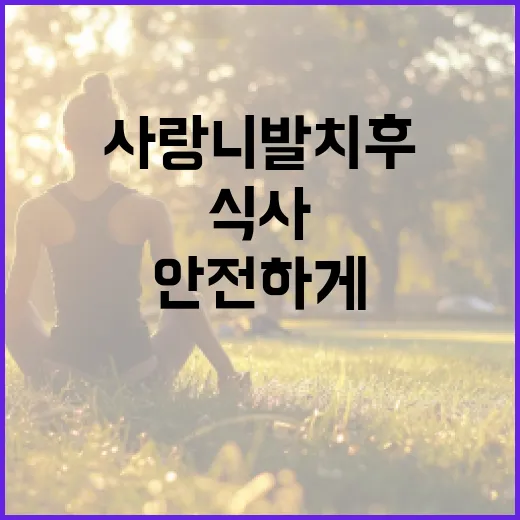 사랑니 발치 후 안전하게 식사하는 방법 - 요약